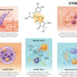 Azelaic Acid vs. Other Ingredients