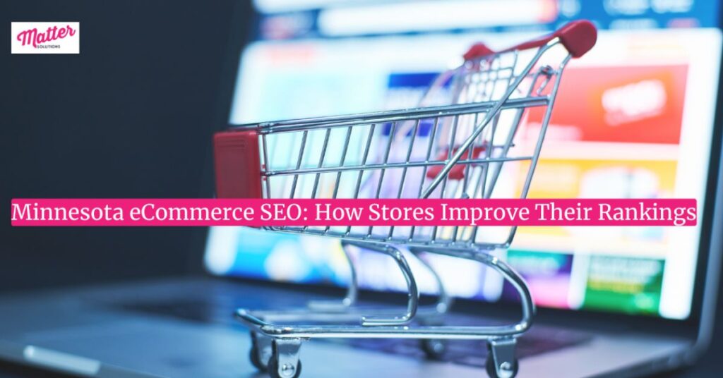 Minnesota eCommerce SEO