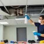 Businesses Prevent Mold Growth in Commercial Buildings